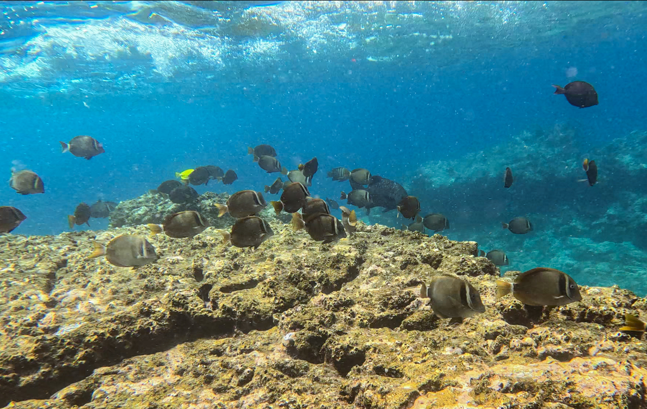 screenshot 2024 09 04 144133