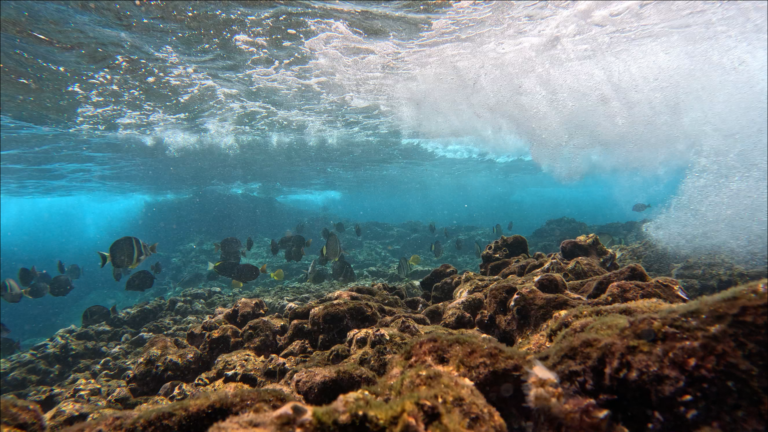 Publications screenshot 2024 09 05 134347