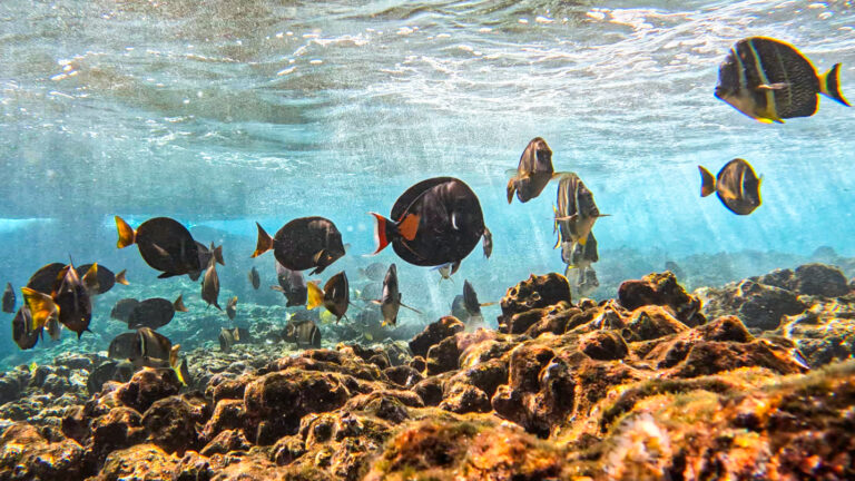 Publications screenshot 2024 09 05 134530