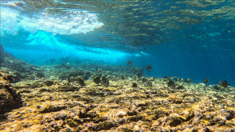 Publications screenshot 2024 09 05 142424xxxx